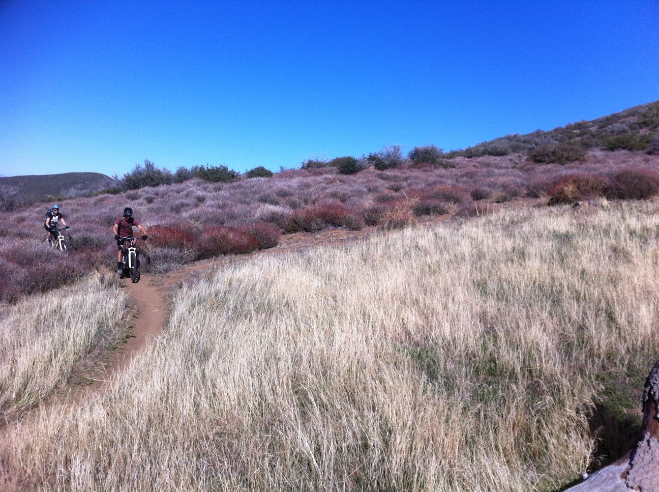 Cuyamaca to Indian Creek Loop Trailism
