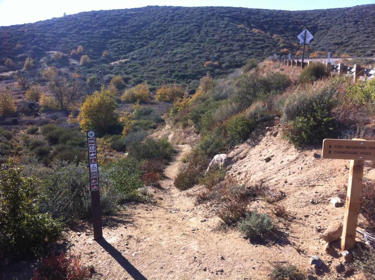 Cuyamaca to Indian Creek Loop Trailism