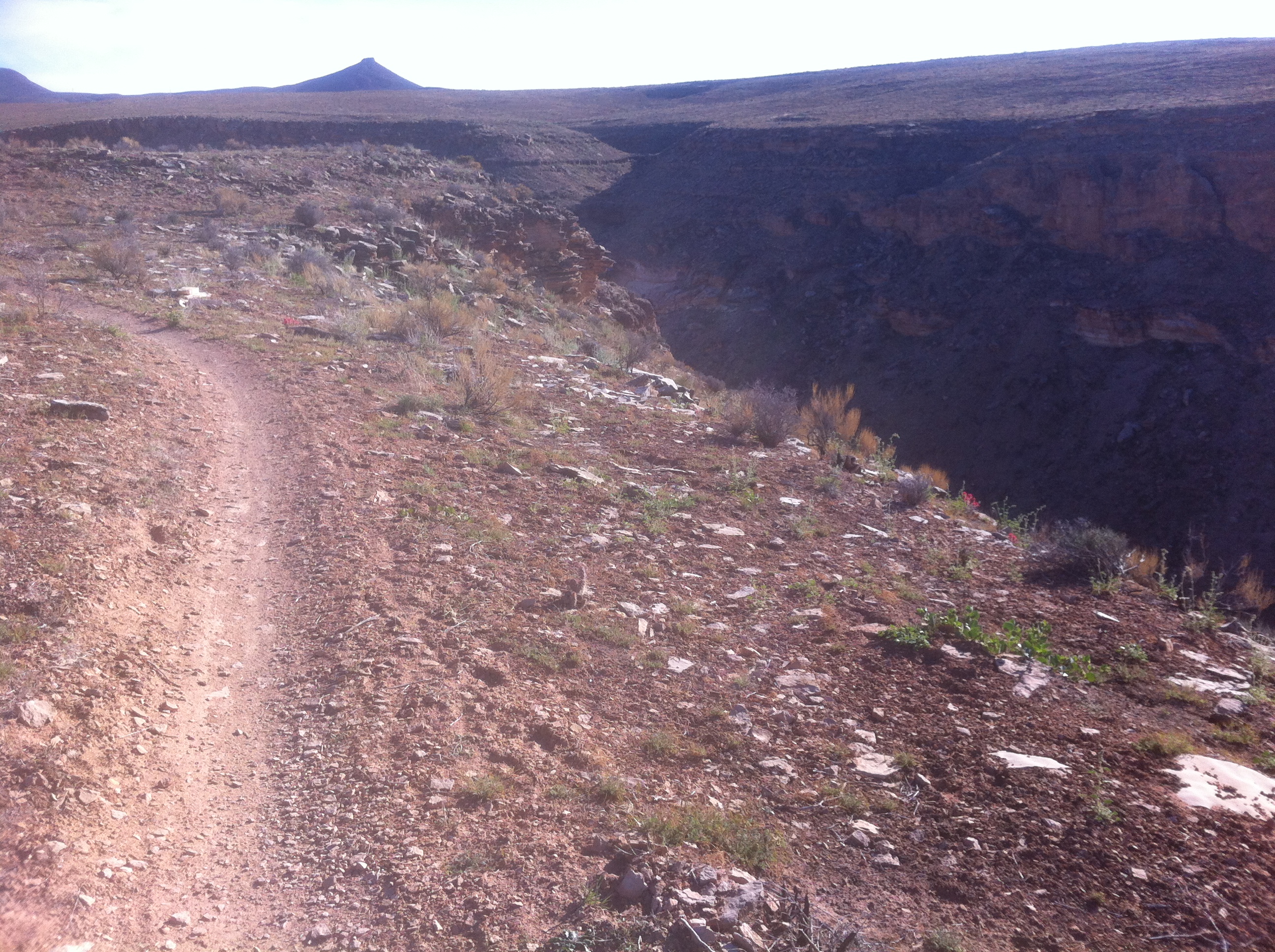 Hurricane Cliffs, Utah Trailism
