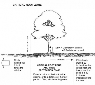 Tree-root-zone