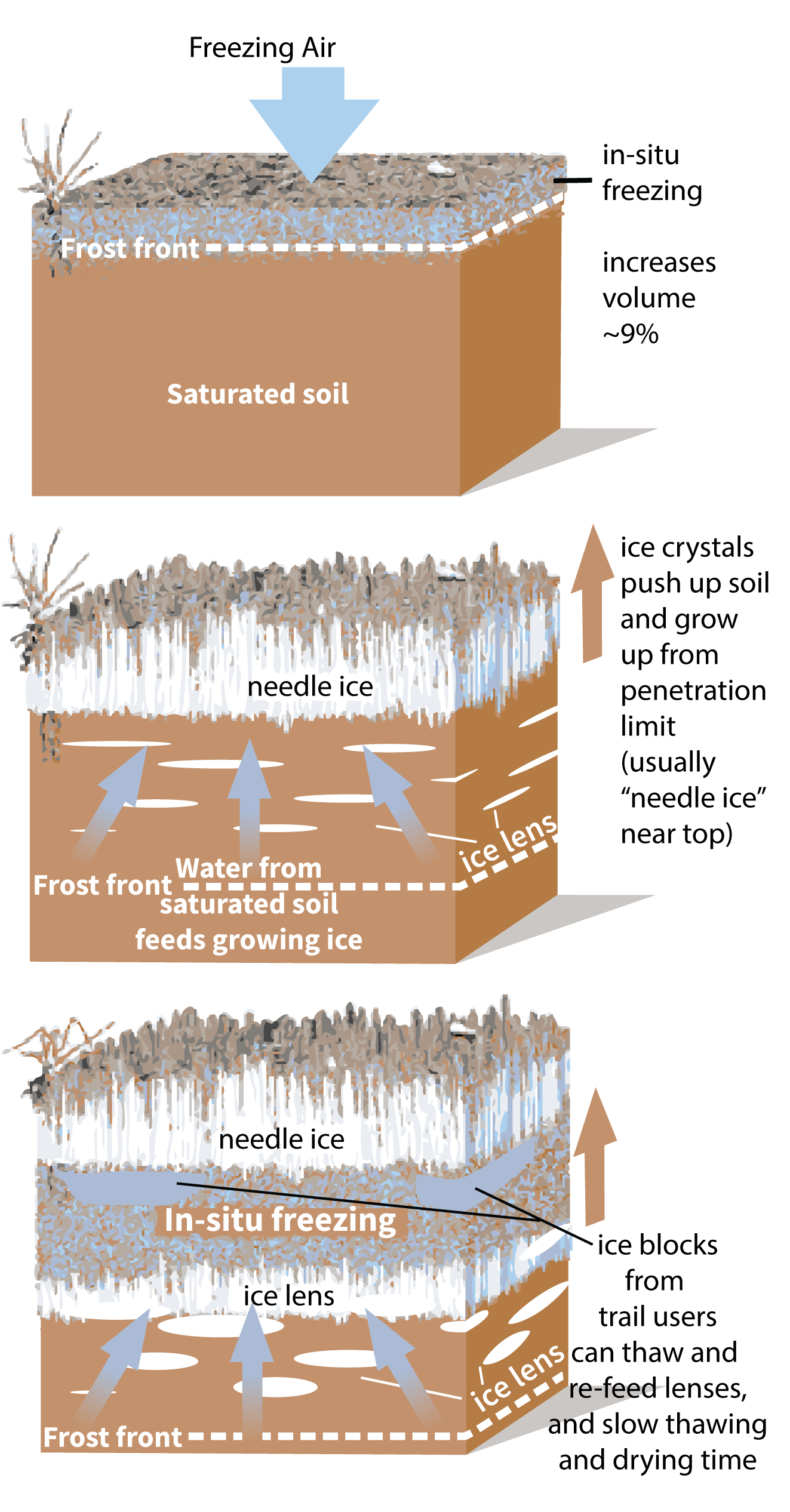 Frost Heave Trailism Frost Heave Trailism